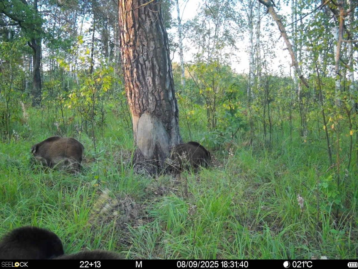 ruqsq0yxfctrxxua2zr2llnrnwux8imgo9p6rwzrs7fgh2dhuxsdujn73gxp9eytjpbwf85kfvfwznhx4svrht80