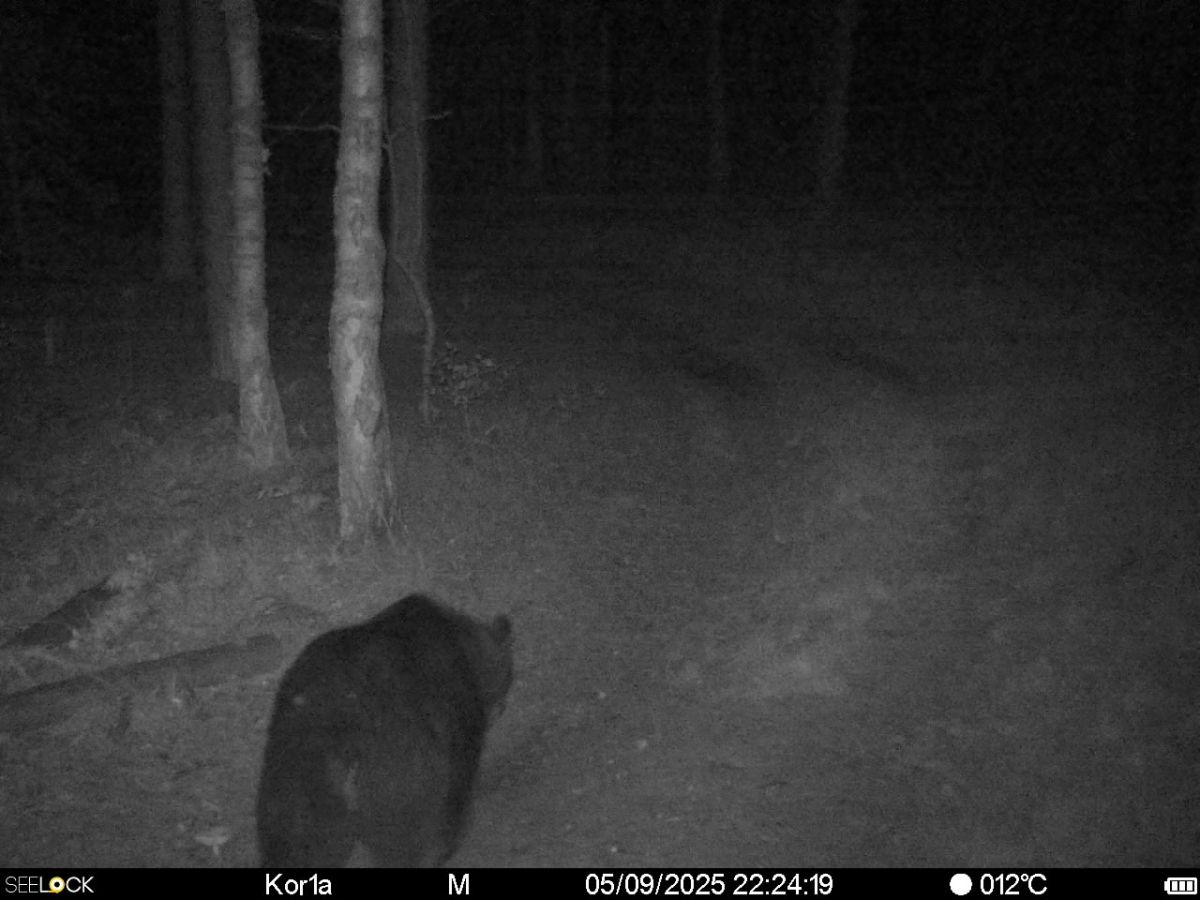 yhpvmevn91usbfwtdj8rtrileidyuawps-7_fsphwbcjwokiqlpbazxn6doizicgatm8gr6ikzgtl00bwophftgk