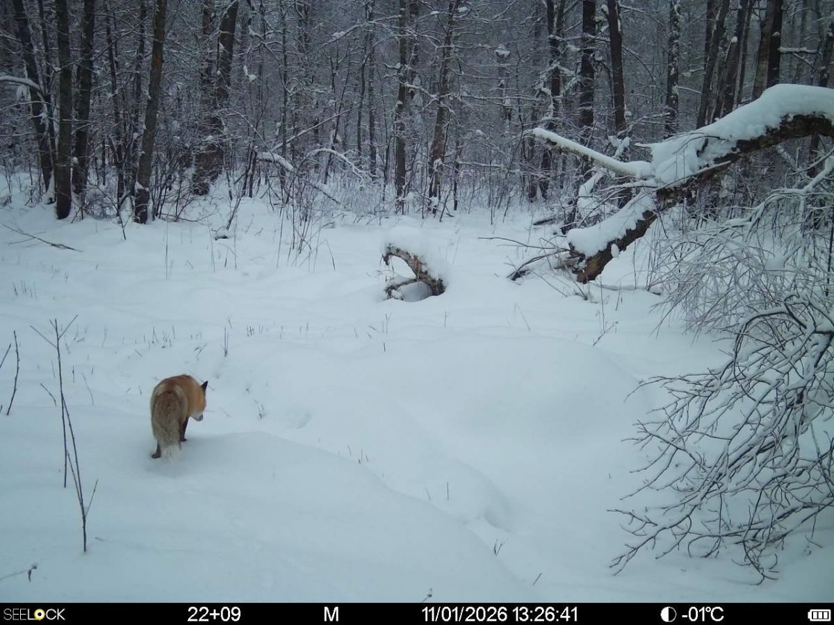 57koepbooixe3ni0vp2yohnqv4_5z2ezvoolooxxr6zq7ufvuf5hnz-d8qkbhtgpe0ob-tpbpngwghk03sp3w4p-