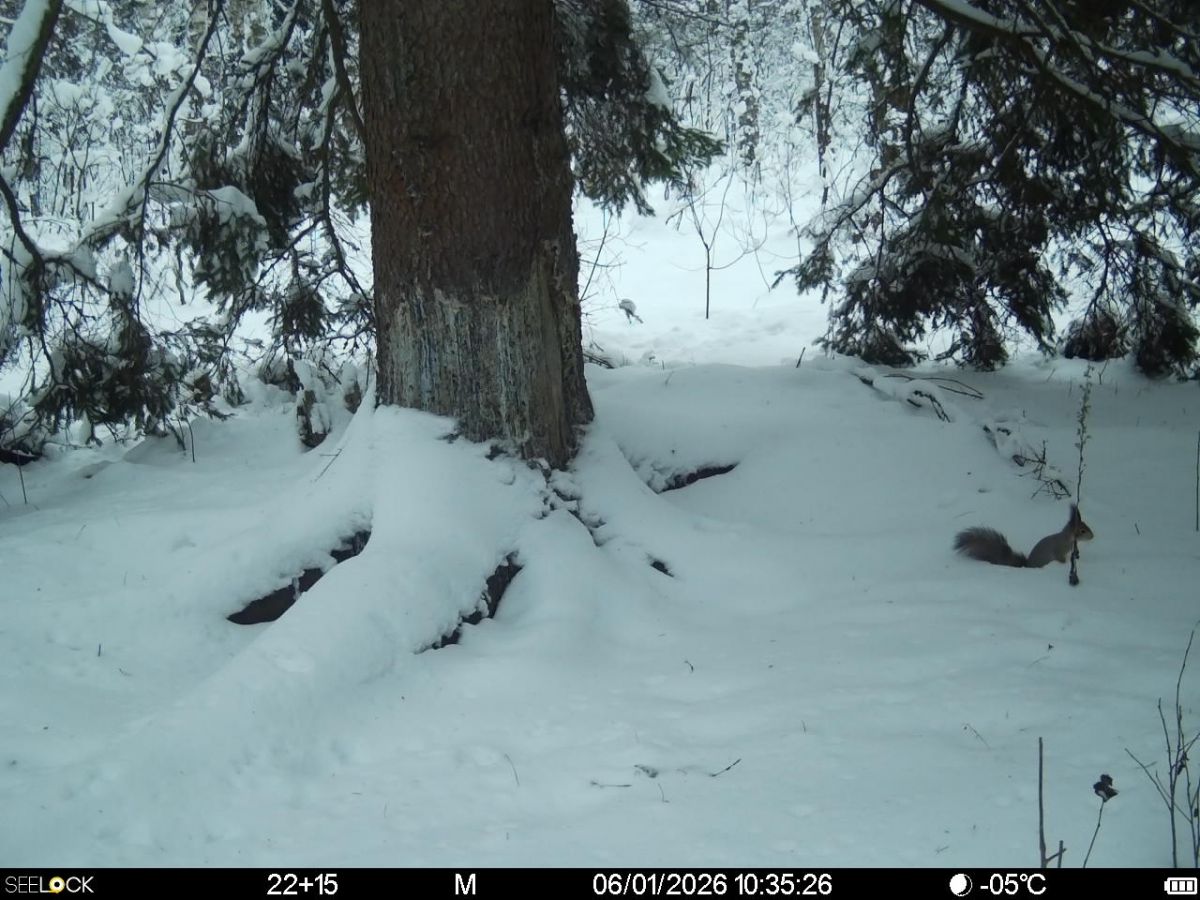 9dep2xvuiewwp8mywuckkjjlixrqwb0gklesmqveqnpff4bc8zkcufnmt89f3te8iyac-eu-x0nkvsmxfy_fhawo