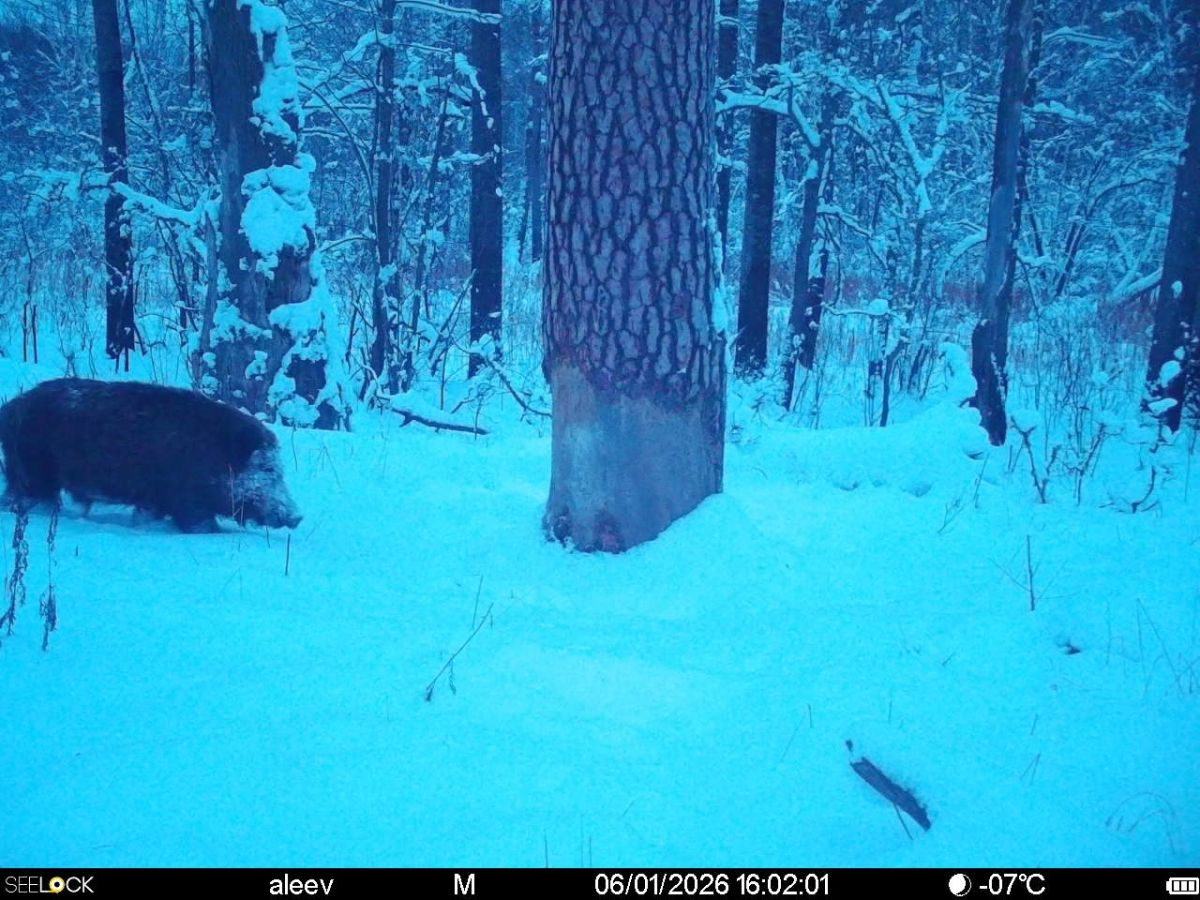 smuqmcxfnnlpqoo_knyzhsjt_qqqqbevbwccooum4mrnqphqq5d1cg5pscltpgkkcpfcasc9fuz9d__jy-j1vhtv