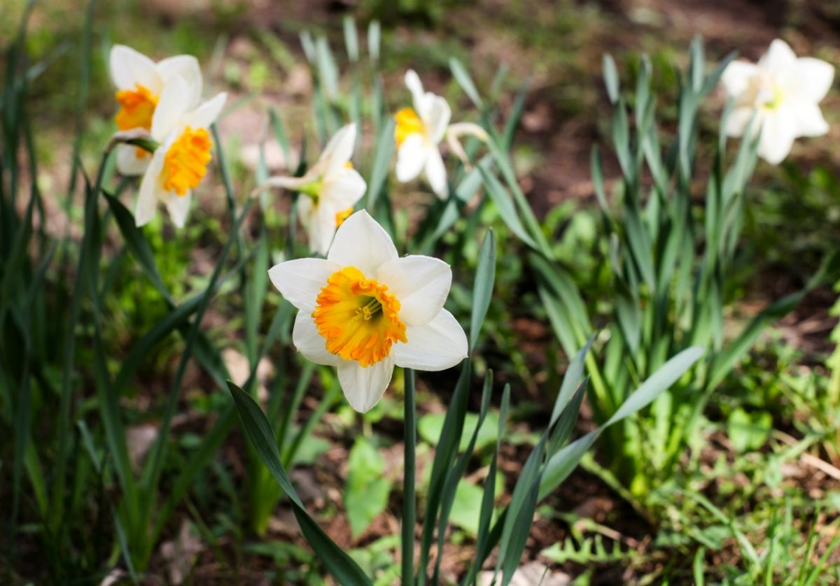 ad1fg-ltyo0bopla7fkjllwd3dddk_urvq568drkyn5n30imetuu5vfibis62tu5w0yz9k1xrbo_uxj0wnyterhu