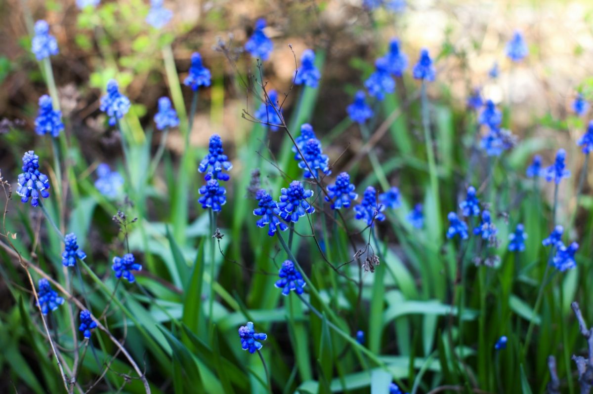 dmhcdhntgfczy0jcyjkry9yc5sy3nvjdiji6yrbow2jjifik1t913hygzclob9uql3csdtiyyhnmlpsfv-kymm2w