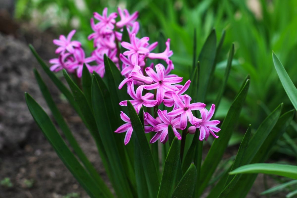 ebwne6oxssphffwk3eiu8mpkrrt8whrcu56h3mqm6wtw3rof-gqw8epjvbzd5zqqe2m17hoxh0ehidg3ja5otb0c