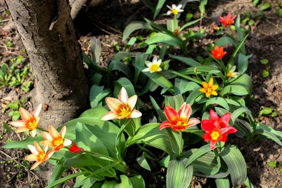 t-v2kqynjcy5573athh1t6gsnfm1ktspv_hthk0xsdizl3ukjlmlndlp3-mzdkkmysosh8hur-0vhh6advctnau4