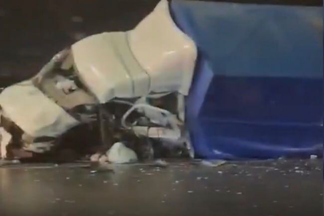 Фото: скриншот видео