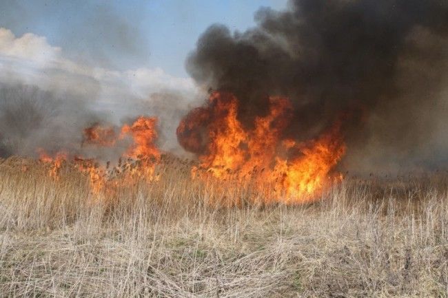 В Рязанской области загорелась мусорная свалка