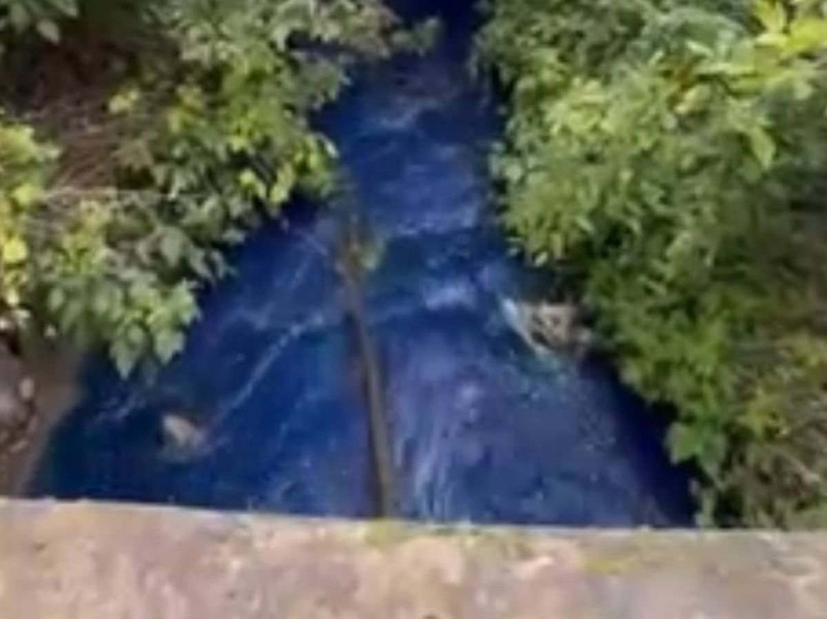 Мое Кальное