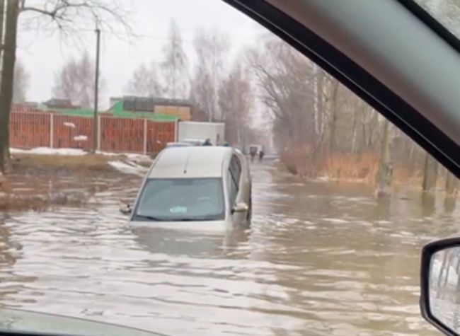 Фото: стоп-кадр из видео «Дягилево ВКонтакте»