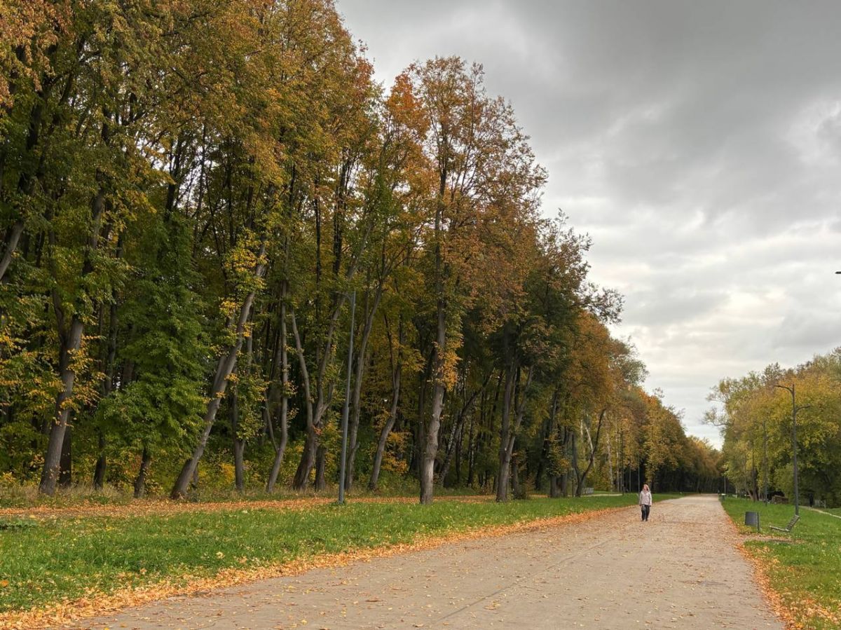 Осеннее обострение: правда, миф или нечто среднее?