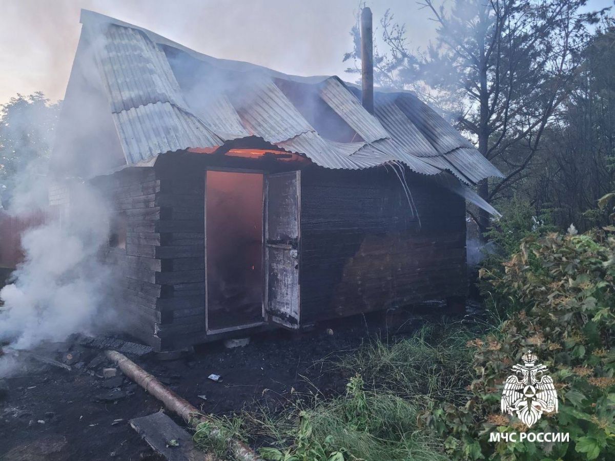 В Рязанской области у кого-то горела дача