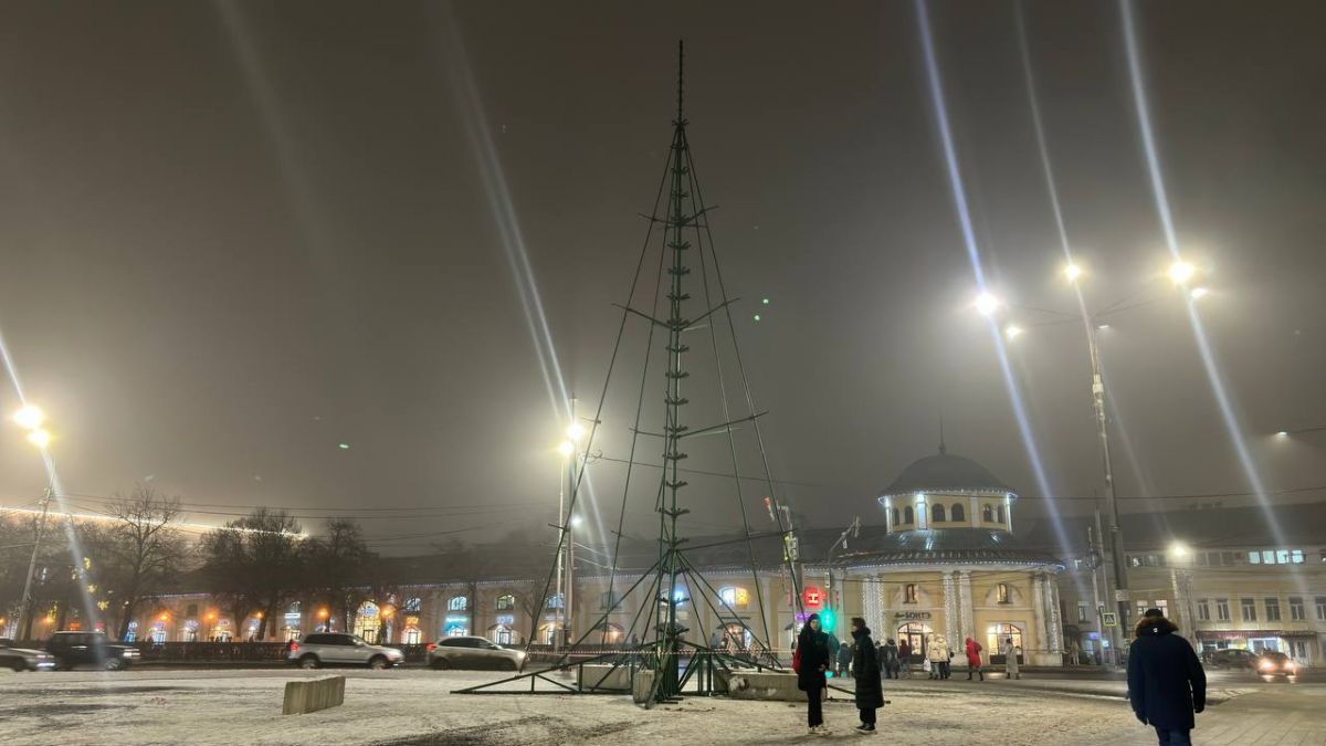 В Рязани начали установку самой большой новогодней ели