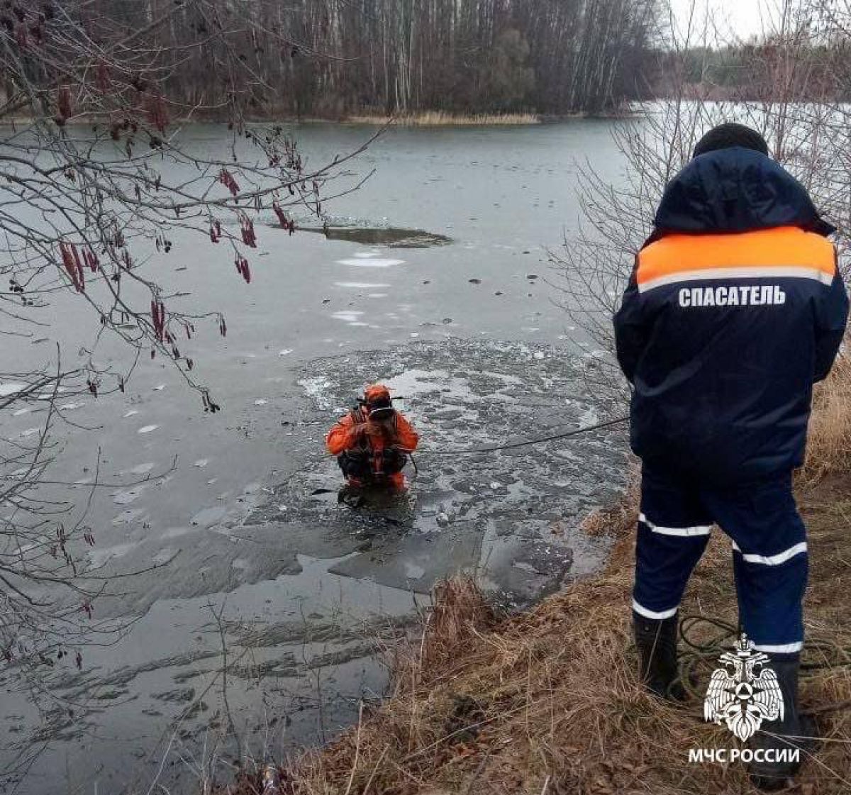 Второй утопленник за день: в Рязанской области из пруда вытащили тело мужчины