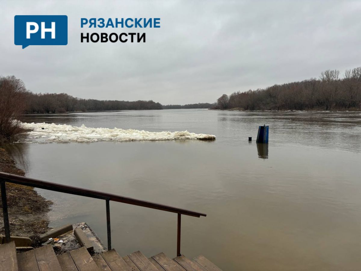 В Рязани началась весна? В Лесопарке затопило пристань