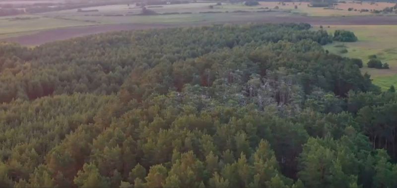 Фото: кадр из трейлера Олега Буцкого