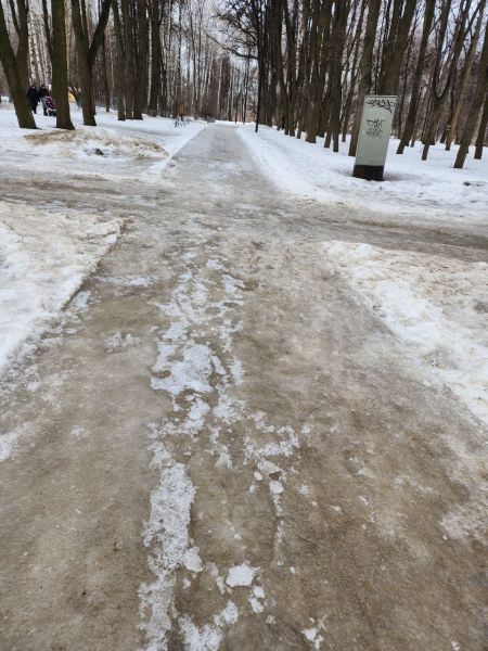 Рязанцы пожаловались на плохую дорогу в ЦПКиО