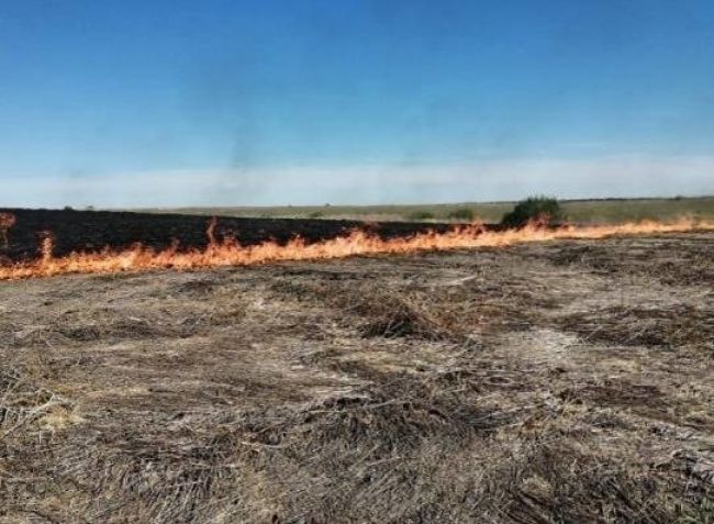 В Рязанской области снова продлили высокий класс пожароопасности