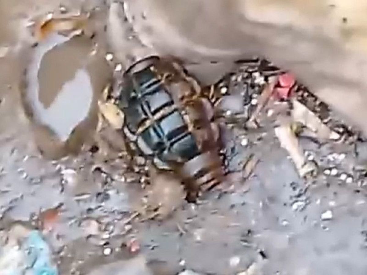 Скрин с видео