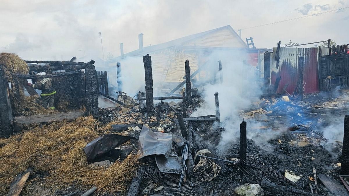 В Шацком районе огонь уничтожил гараж вместе с автомобилем