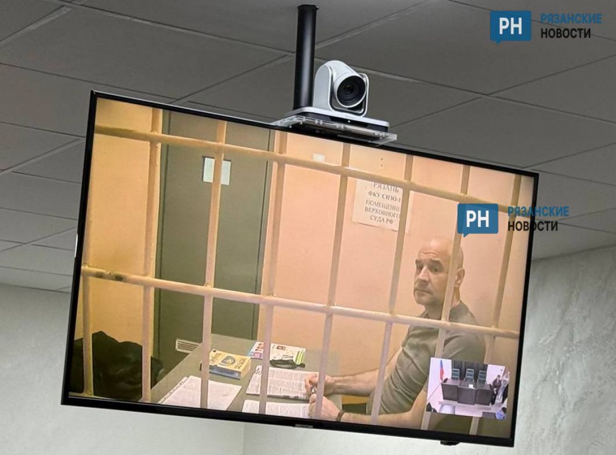 Бывшему вице-губернатору Рязанской области Игорю Грекову смягчили наказание