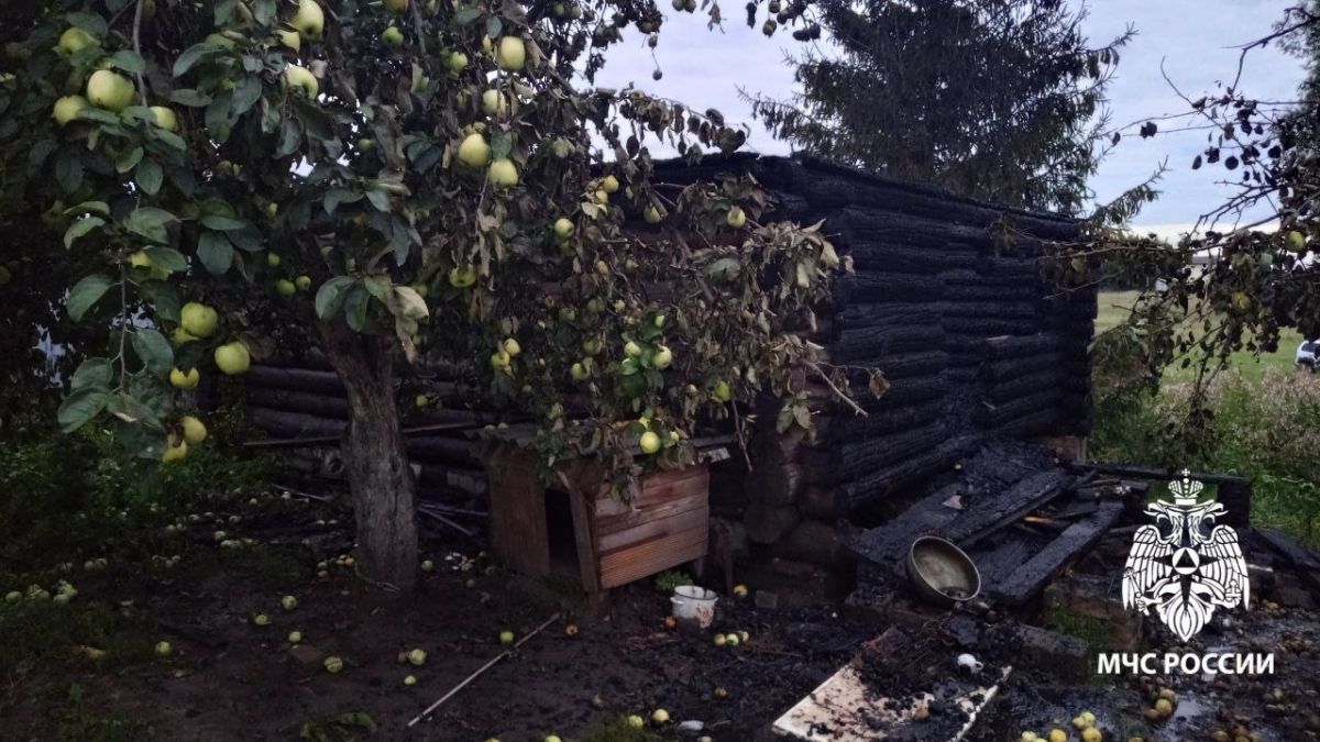 Вредная стала причиной потери имущества рязанцев