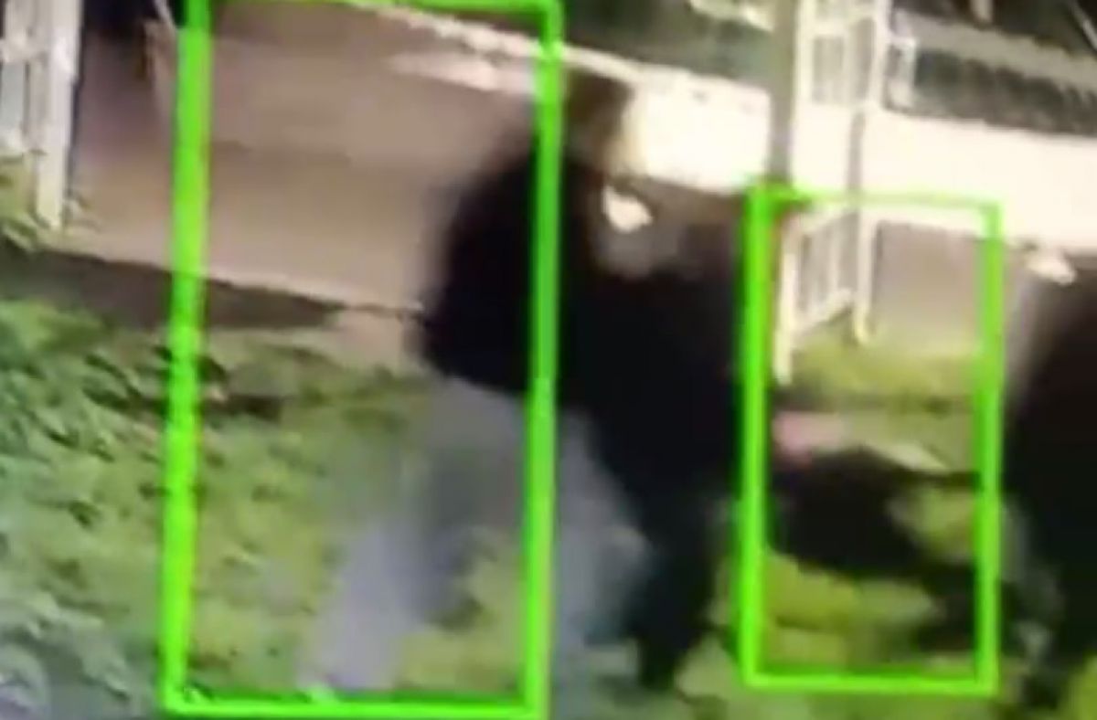 кадр видеозаписи Telegram-канала Ивана Бахилова