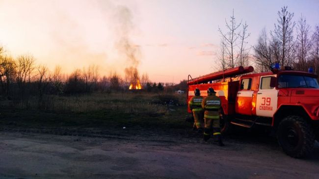 Фото: ИД Пресса