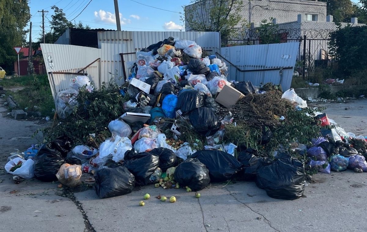 Рязанка пожаловалась на мусорную гору, которую не вывозят месяц