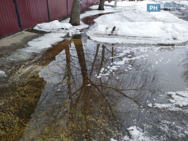 Фото: Владимир Садофьев / «Рязанские новости»