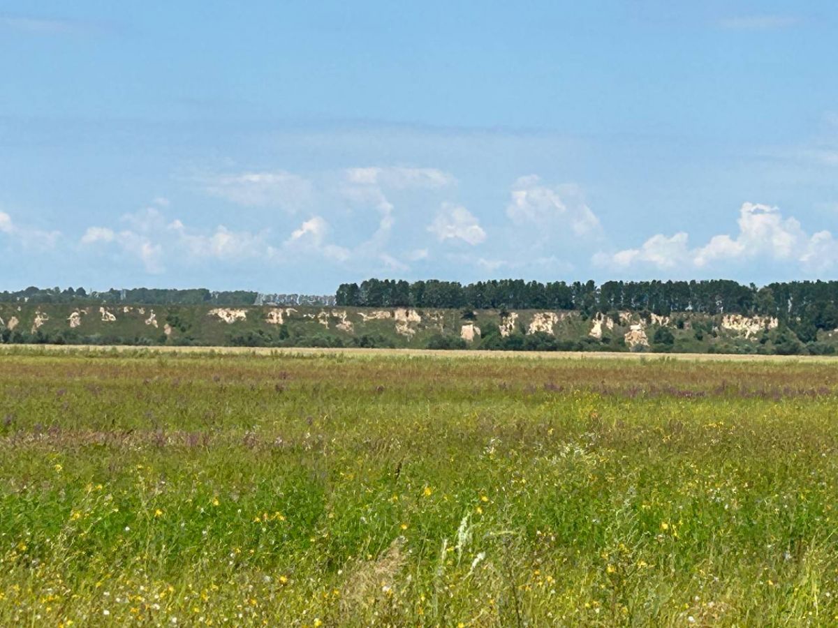 Каменный холм, Белая гора, Араповские пещеры... В Тульской области появились новые памятники природы