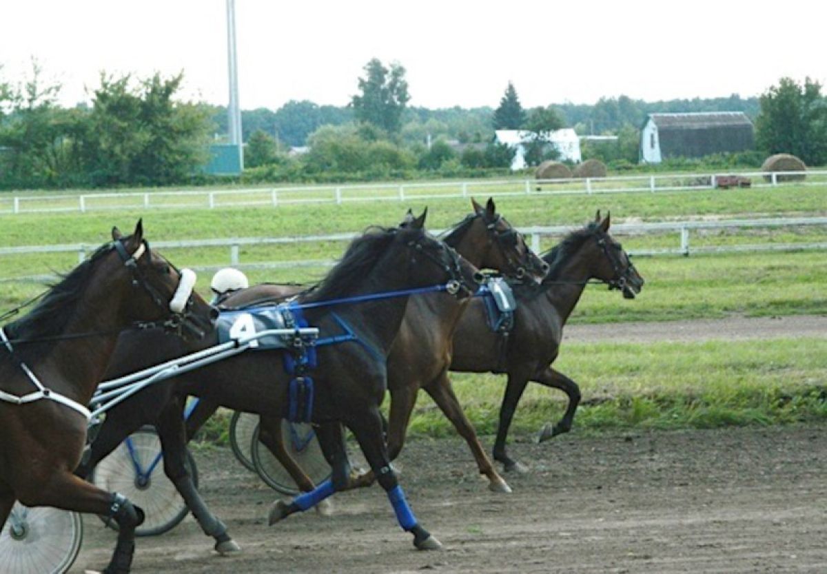Орловский ипподром