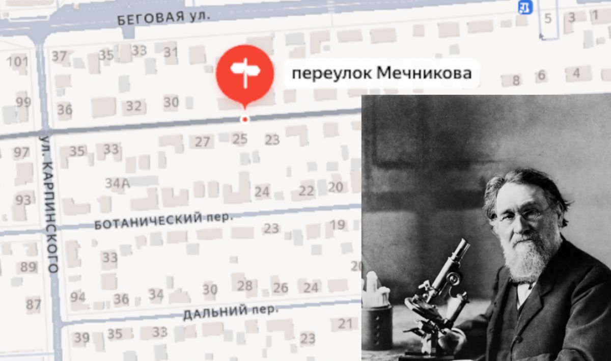 Имя нобелевского лауреата и известного русского биолога Ильи Мечникова носит переулок в Воронеже
