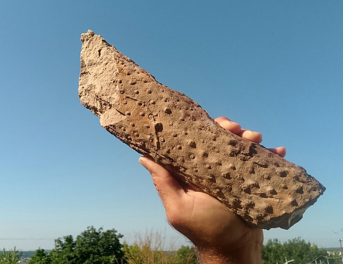 Калужская область: древние леса, морские глубины и корни, что помнят миллиарды лет