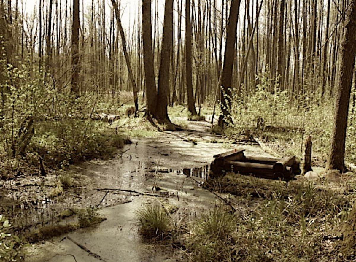 Бычин колодец: Три глотка благодати