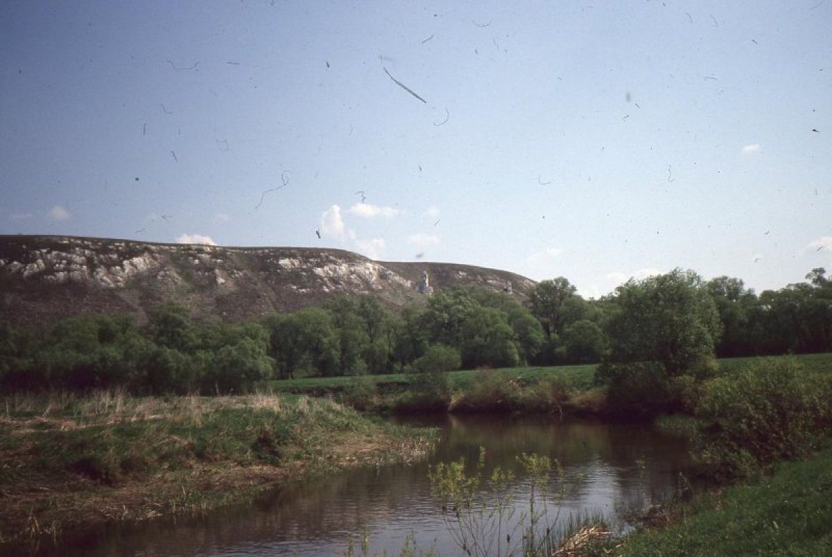 Тайна Тихой сосны