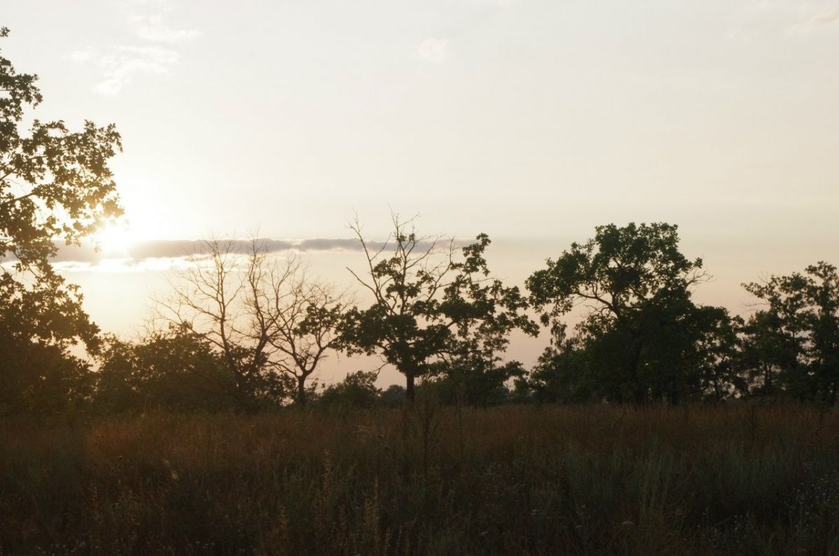 В Липецкой области утвердили границы памятников археологии через 15 лет после их исследований