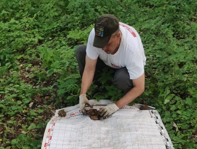 В Тульской области нашли останки двух бойцов Красной армии