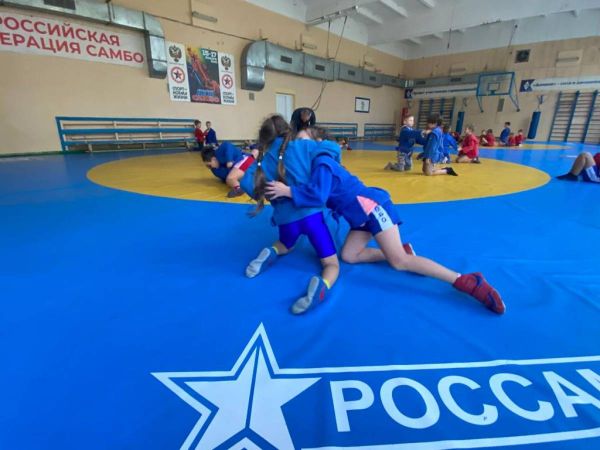 Николай Воробьев: Партийный проект «Zа самбо» поможет воспитать новых чемпионов