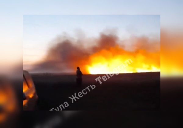 Очевидцы: в Кимовском районе загорелось поле