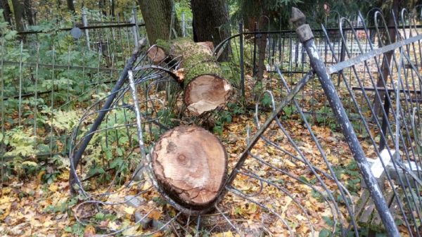 Упавшие на тульском Всехсвятском кладбище деревья повредили могилы