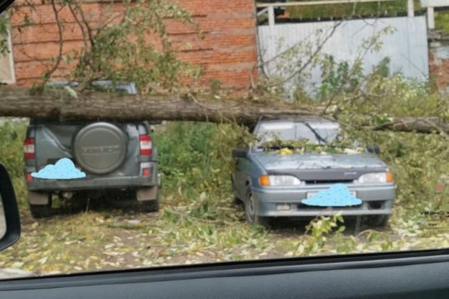 В Алексине рядом с воинской частью дерево упало на два автомобиля