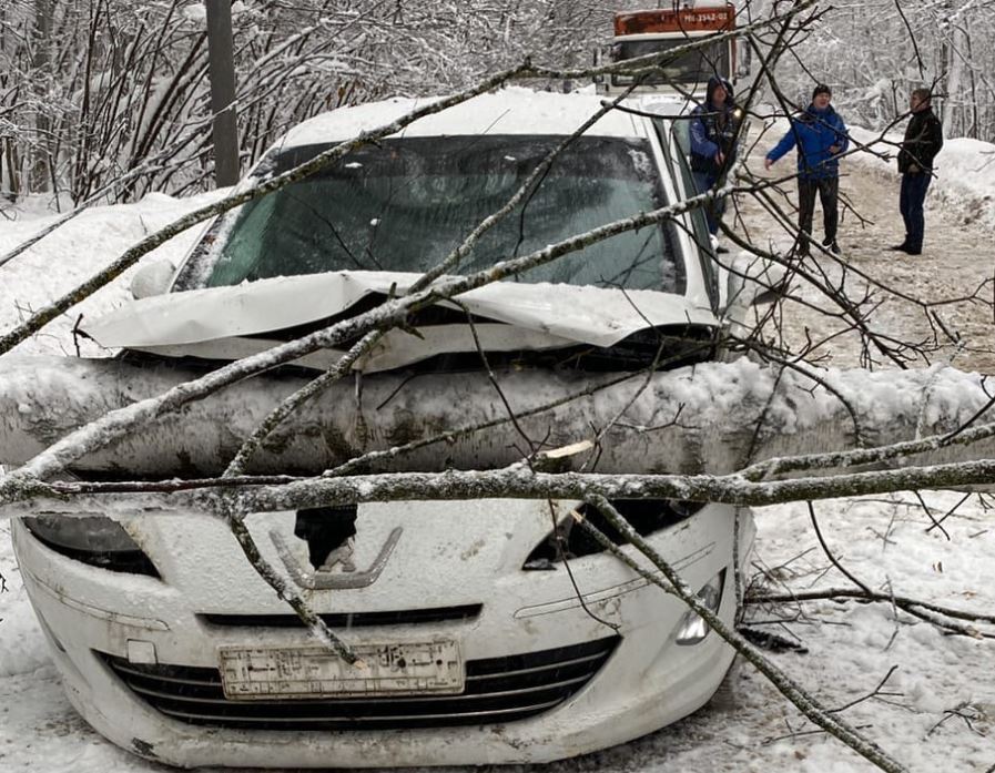 Дерево упало на машину