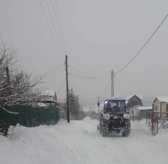 КФХ "Элитные Семена" в деревне Луковицы
