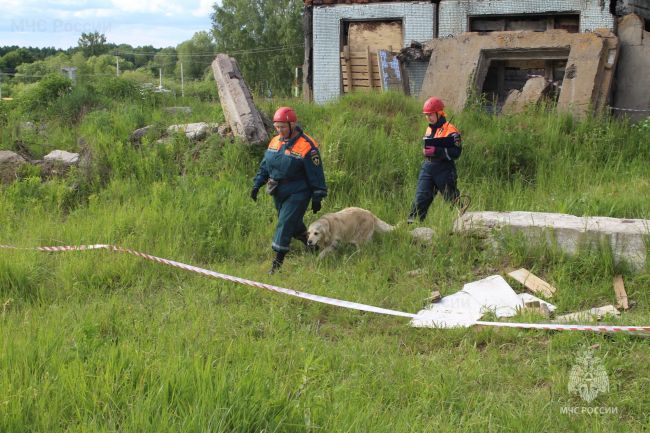 Фото: ГУ МЧС России по Тульской области