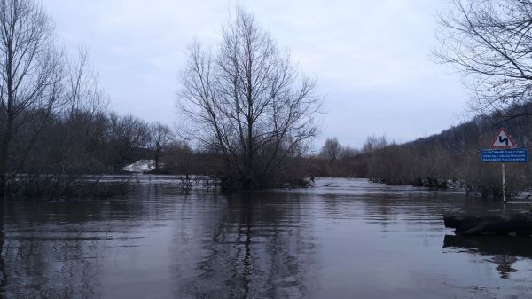 Паводок в Тульской области: в районе села Вязово по-прежнему высокая вода: фото