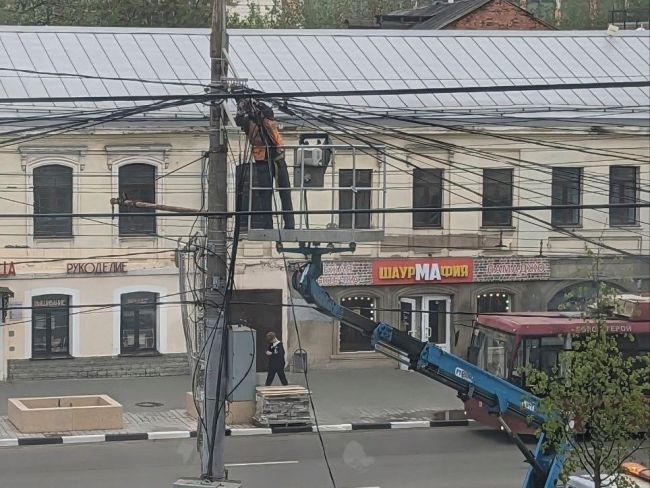 В Туле на пр. Ленина над липами поднимают провода