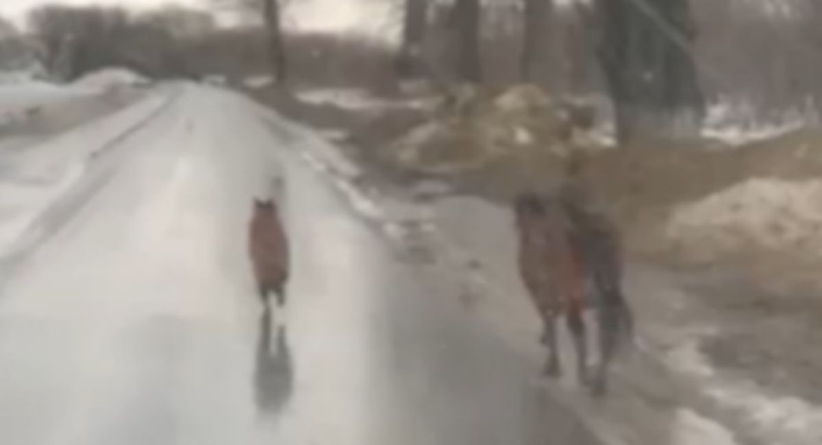 "Тула.Жесть"