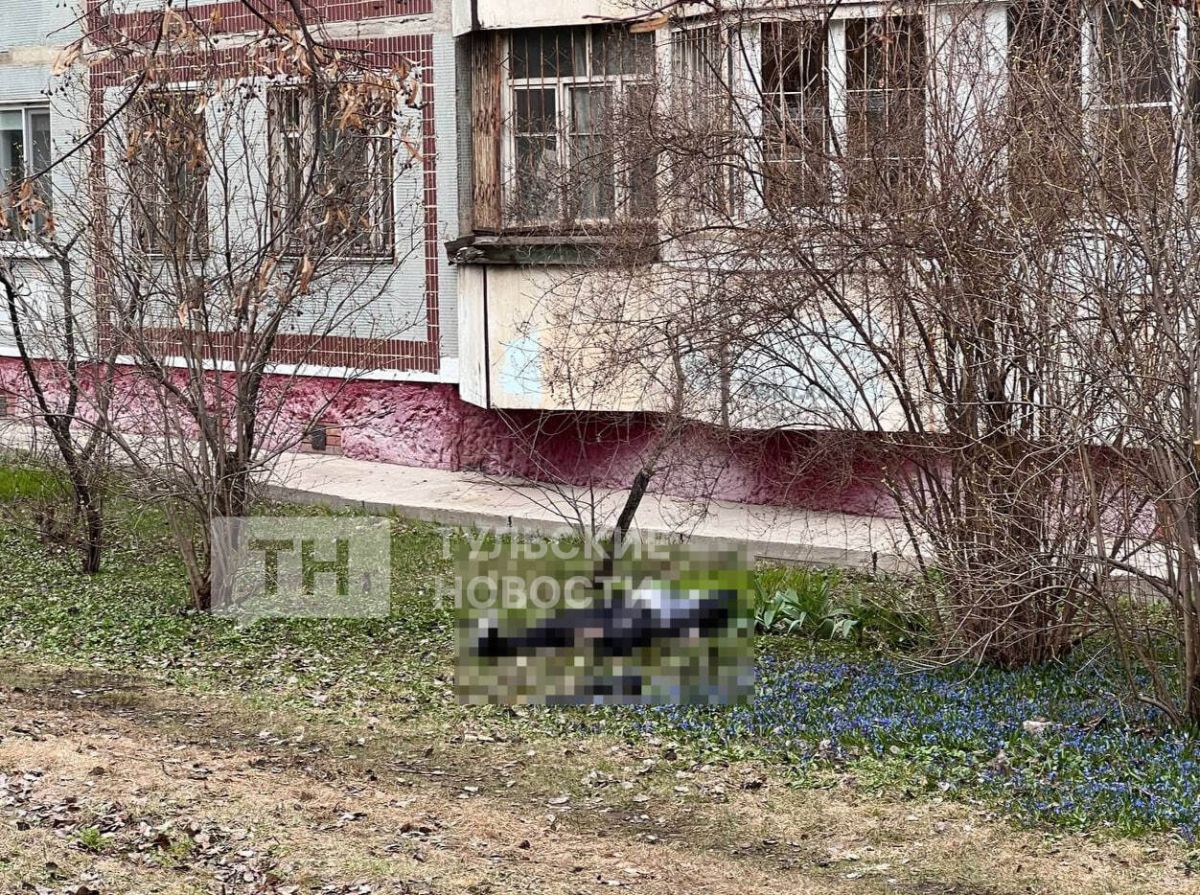 ООО «РЕГИОНАЛЬНЫЕ НОВОСТИ»