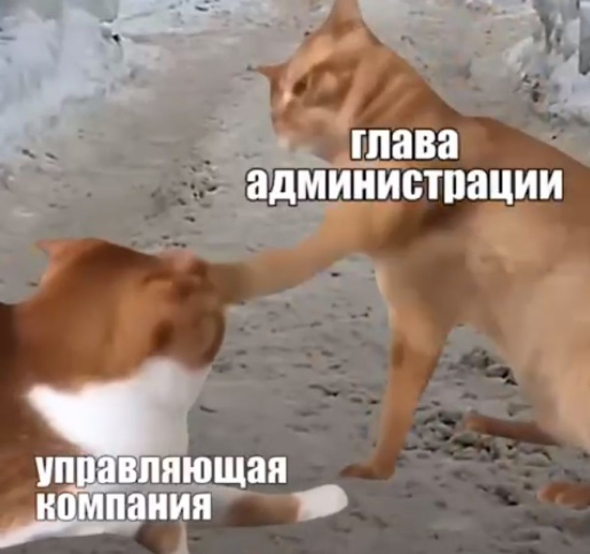 Николай Терехов