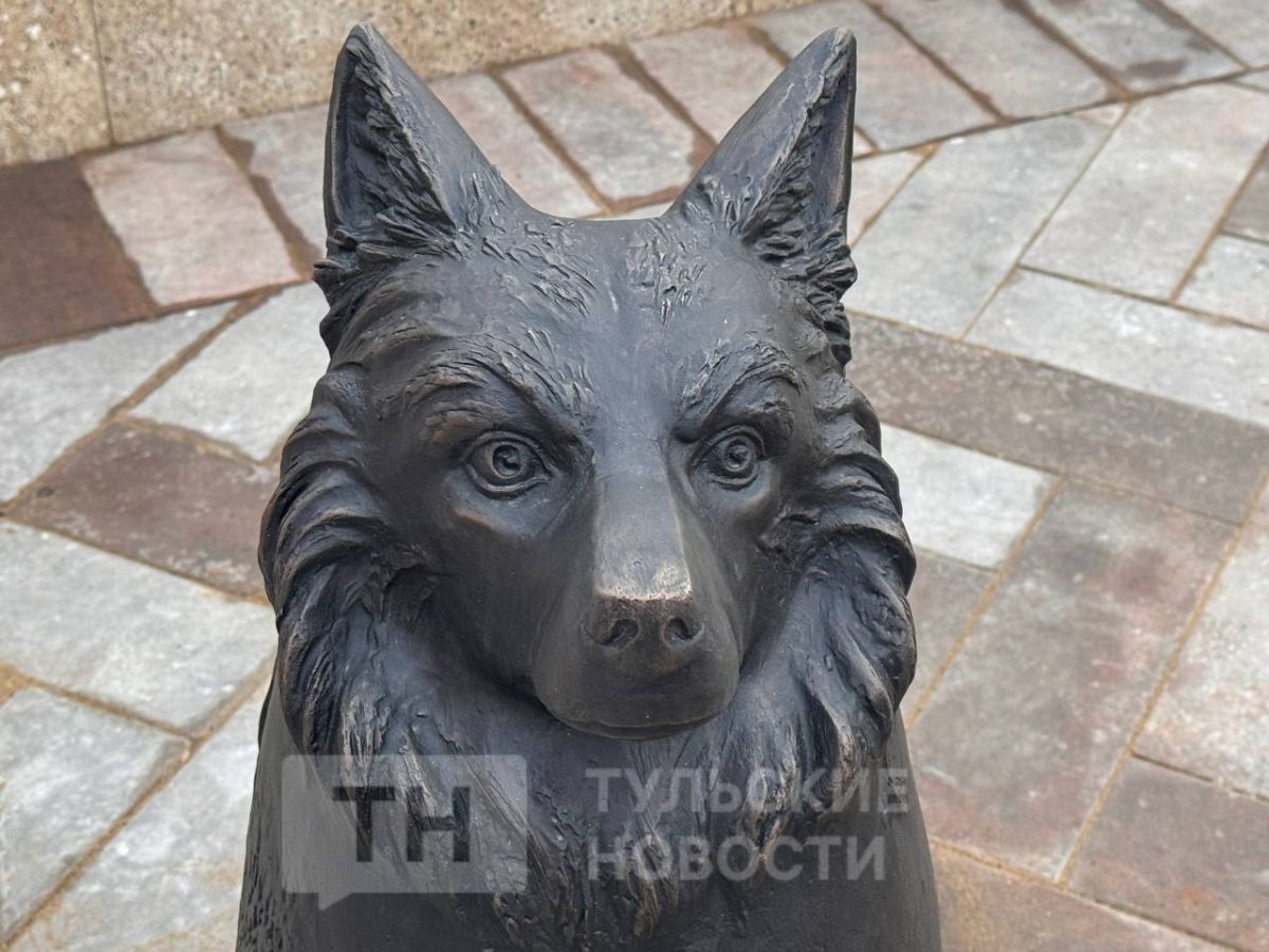 Туляки обратили внимание на местные мемориальные «ляпы»